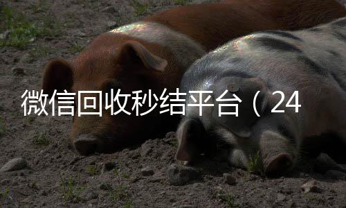 微信回收秒结平台vx回收（24小时回收微信秒结平台）
