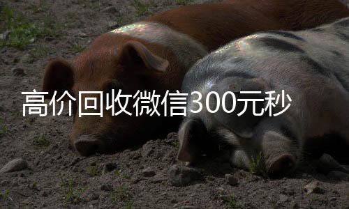 高价回收微信3024小时全天回收vx0元秒结（回收快手号秒结账）