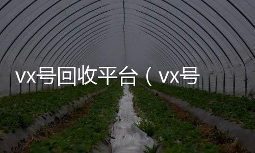 vx号回收平台（在线收微信vx号回收平台联系方式查询）